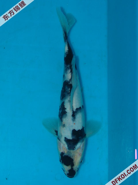 ֲμ200710ϺƷĽƬ