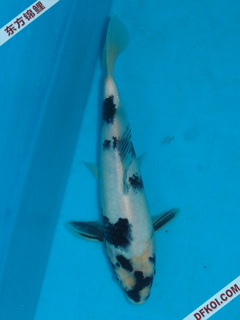 ֲμ200710ϺƷĽƬ