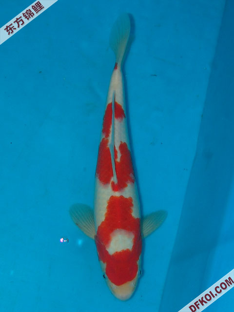 ֲμ200710ϺƷĽƬ