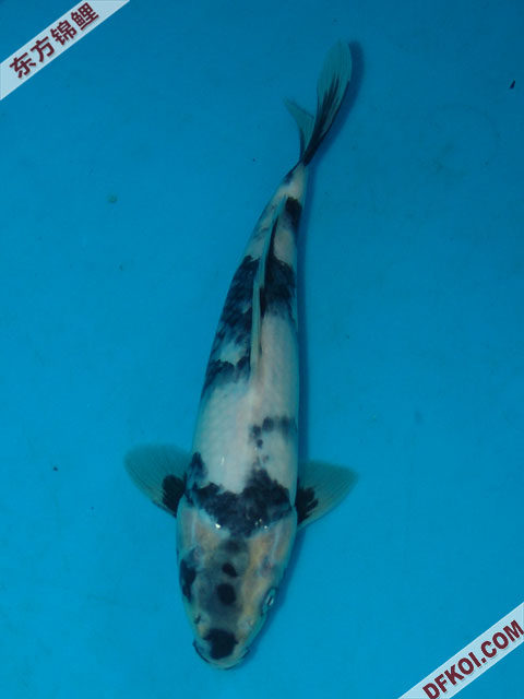 ֲμ200710ϺƷĽƬ
