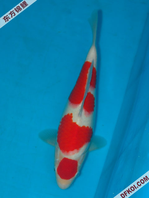 ֲμ200710ϺƷĽƬ
