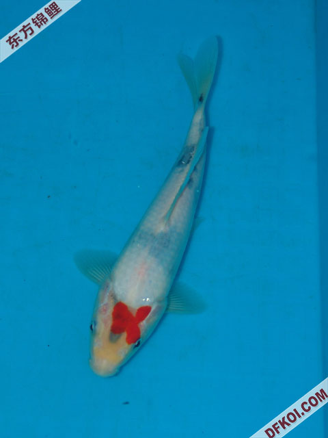 ֲμ200710ϺƷĽƬ