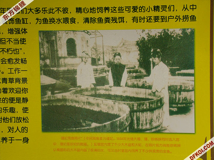 ձʮǧй ʮʶ