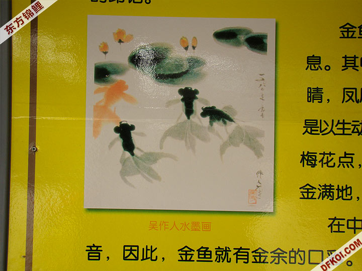 ձʮǧй ʮʶ