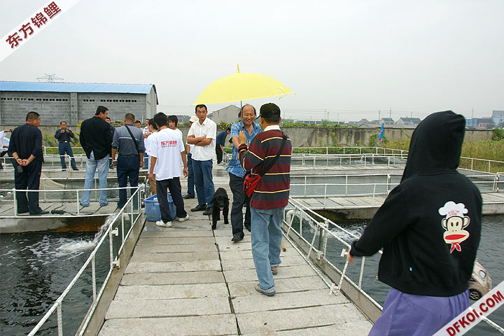 200810 ϺĽƷᱨ