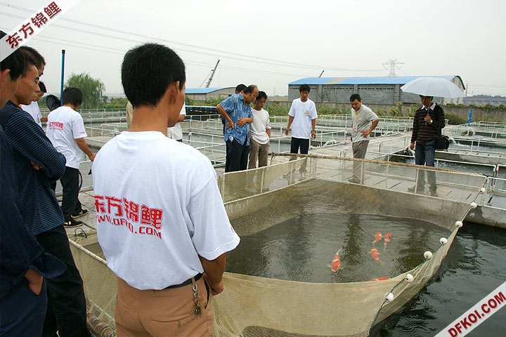 200810 ϺĽƷᱨ
