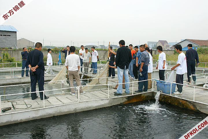 200810 ϺĽƷᱨ