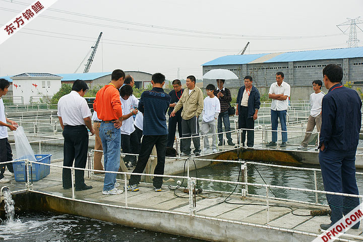 200810 ϺĽƷᱨ