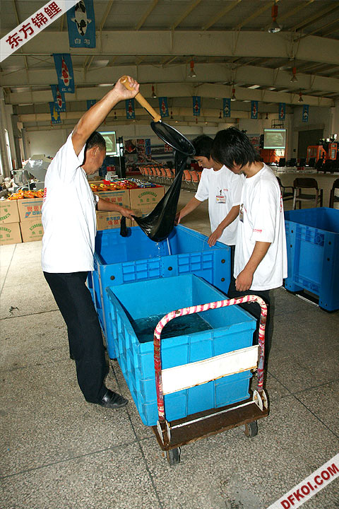 200810 ϺĽƷᱨ