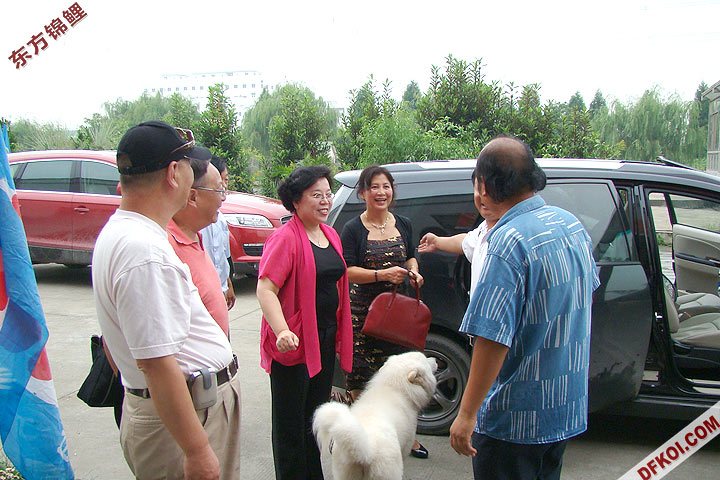 200810 ϺĽƷᱨ