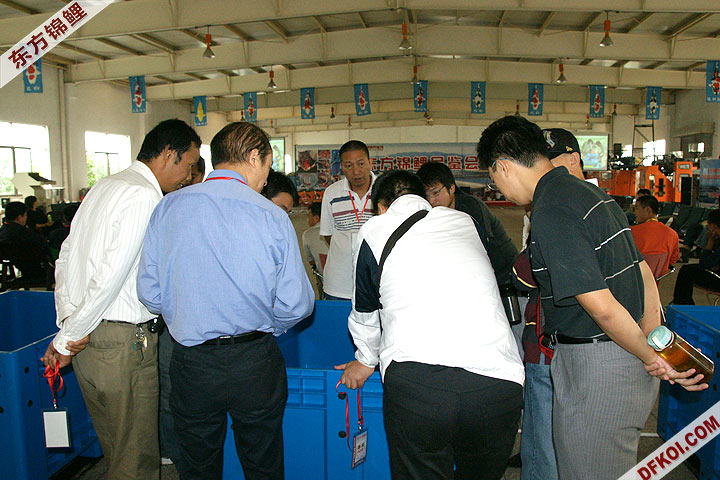 200810 ϺĽƷᱨ