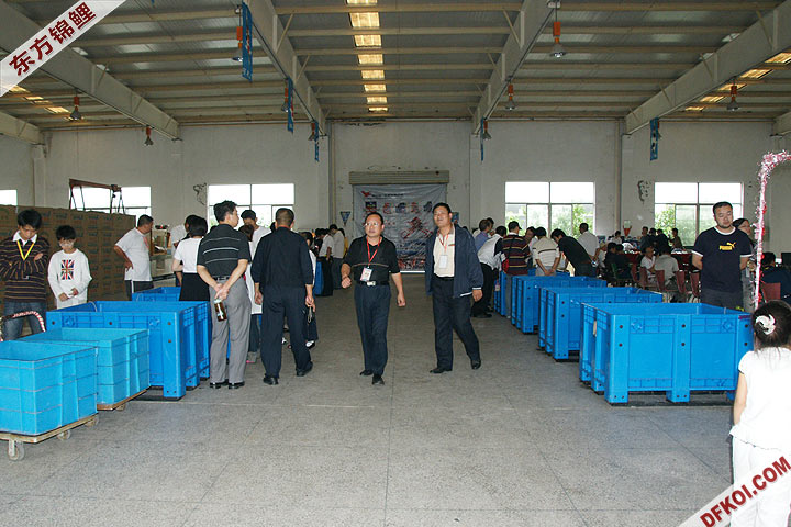 200810 ϺĽƷᱨ