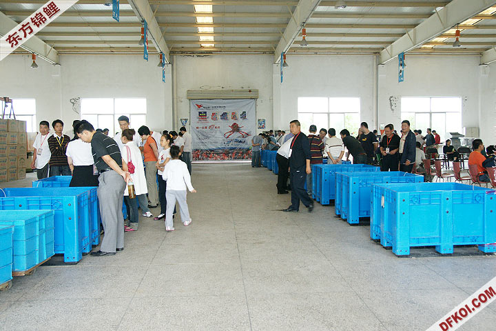 200810 ϺĽƷᱨ