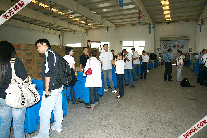 200810 ϺĽƷᱨ