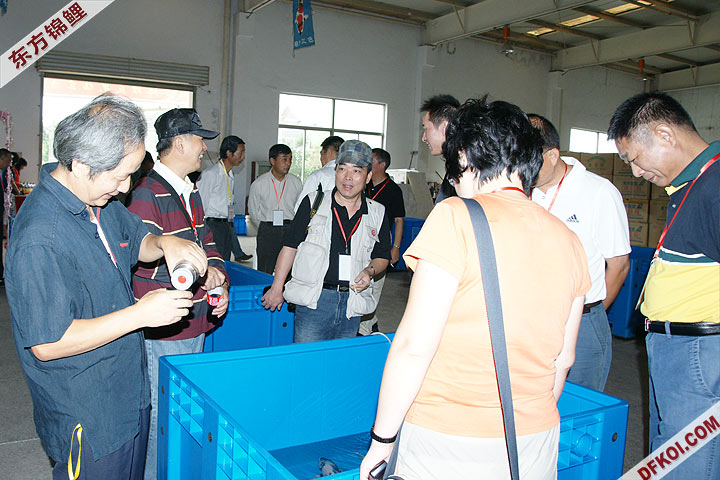 200810 ϺĽƷᱨ