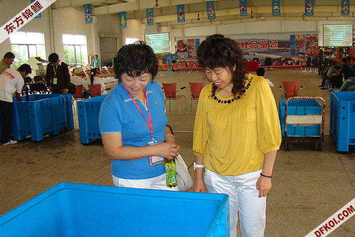 200810 ϺĽƷᱨ