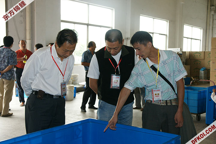 200810 ϺĽƷᱨ