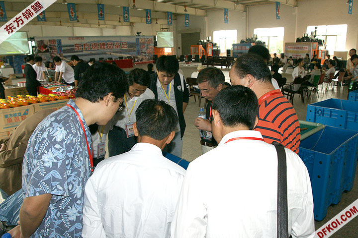 200810 ϺĽƷᱨ
