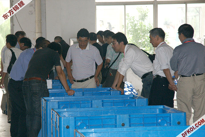 200810 ϺĽƷᱨ