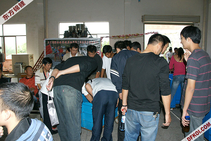 200810 ϺĽƷᱨ