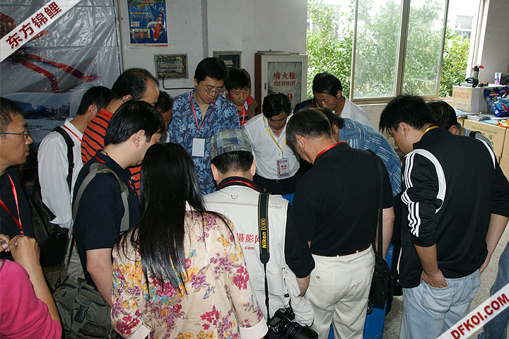 200810 ϺĽƷᱨ