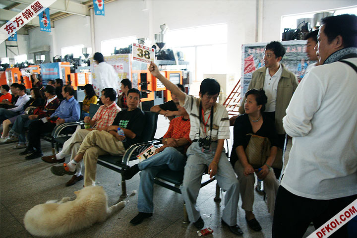 200810 ϺĽƷᱨ