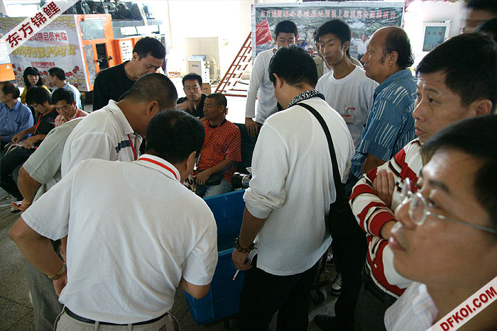 200810 ϺĽƷᱨ