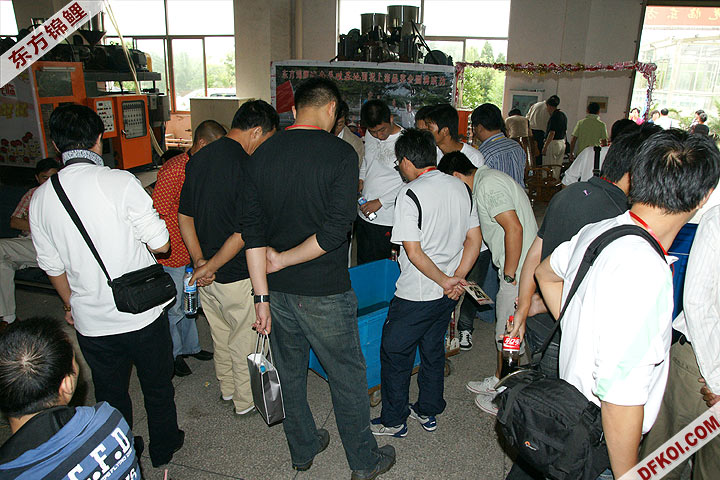 200810 ϺĽƷᱨ