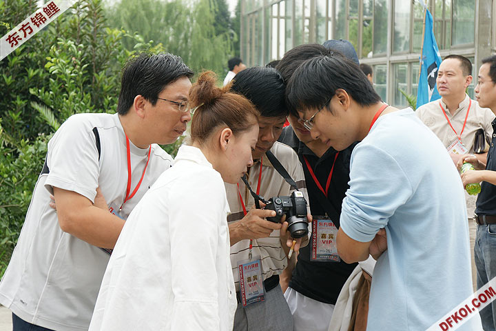 200810 ϺĽƷᱨ