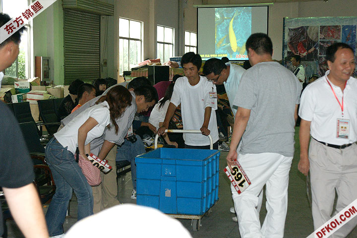 200810 ϺĽƷᱨ