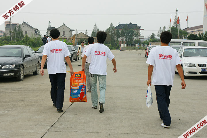 200810 ϺĽƷᱨ