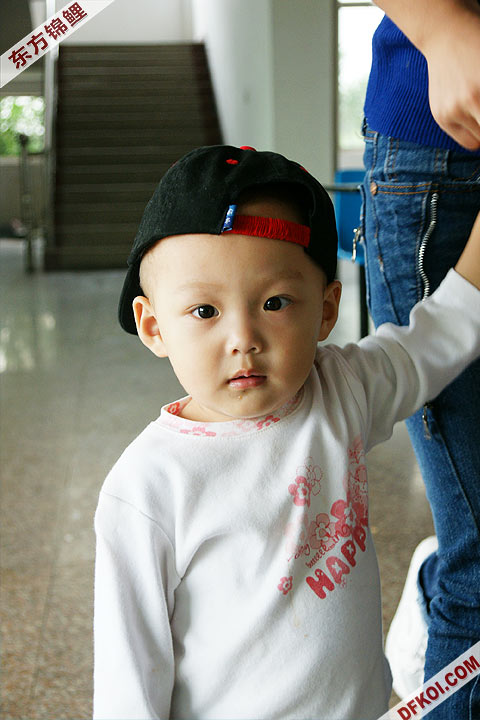 200810 ϺĽƷᱨ