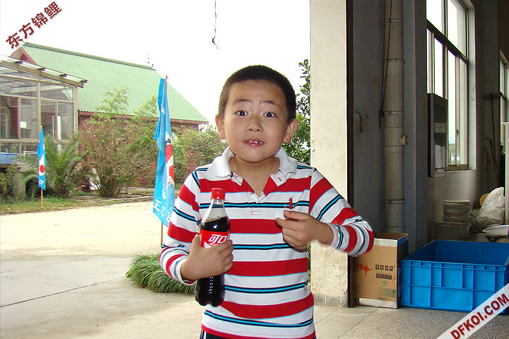 200810 ϺĽƷᱨ