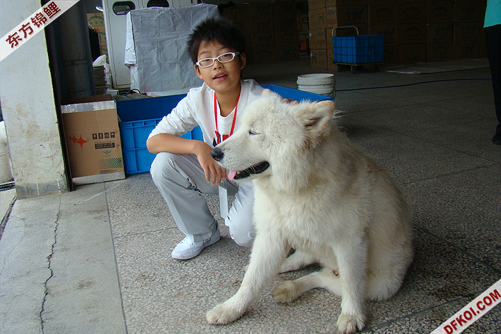 200810 ϺĽƷᱨ