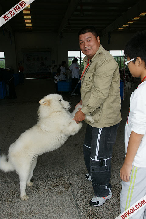 200810 ϺĽƷᱨ