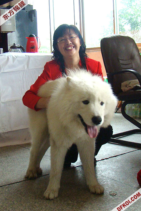 200810 ϺĽƷᱨ