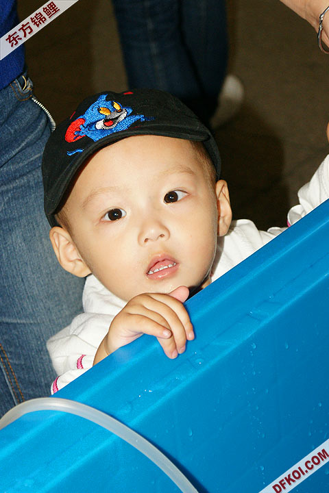 200810 ϺĽƷᱨ