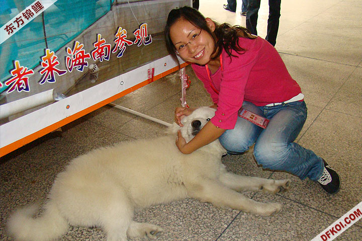 200810 ϺĽƷᱨ