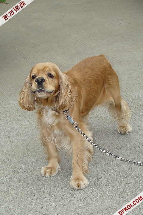 200810 ϺĽƷᱨ
