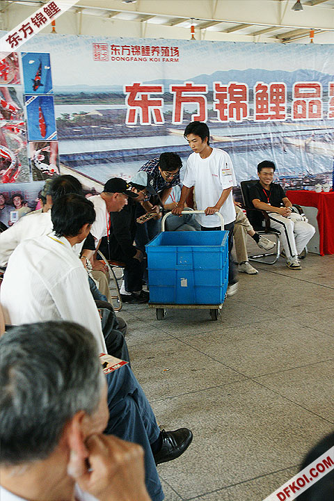 200810 ϺĽƷᱨ