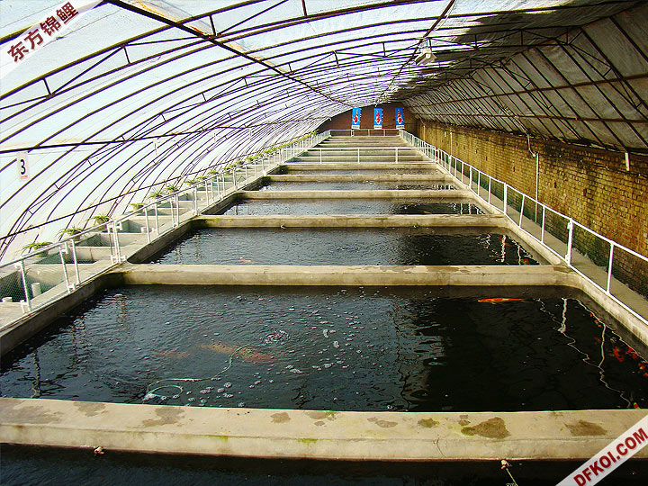 Ӣѷ ֳ